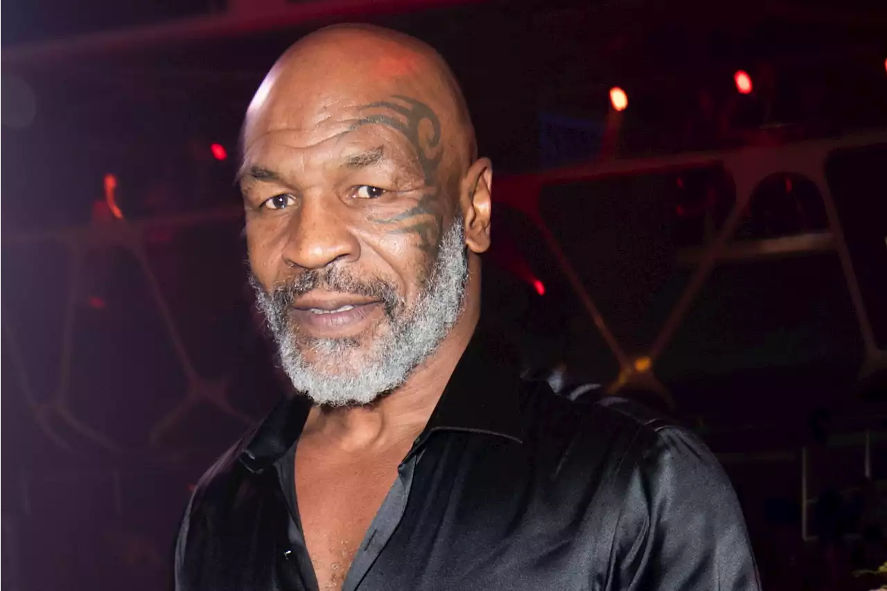 Man Mike Tyson allegedly punched in face 'refused to cooperate' with police