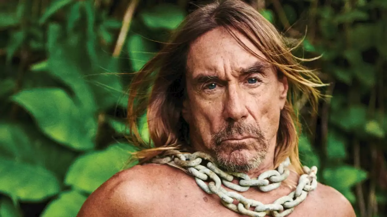 The Survival of Iggy Pop