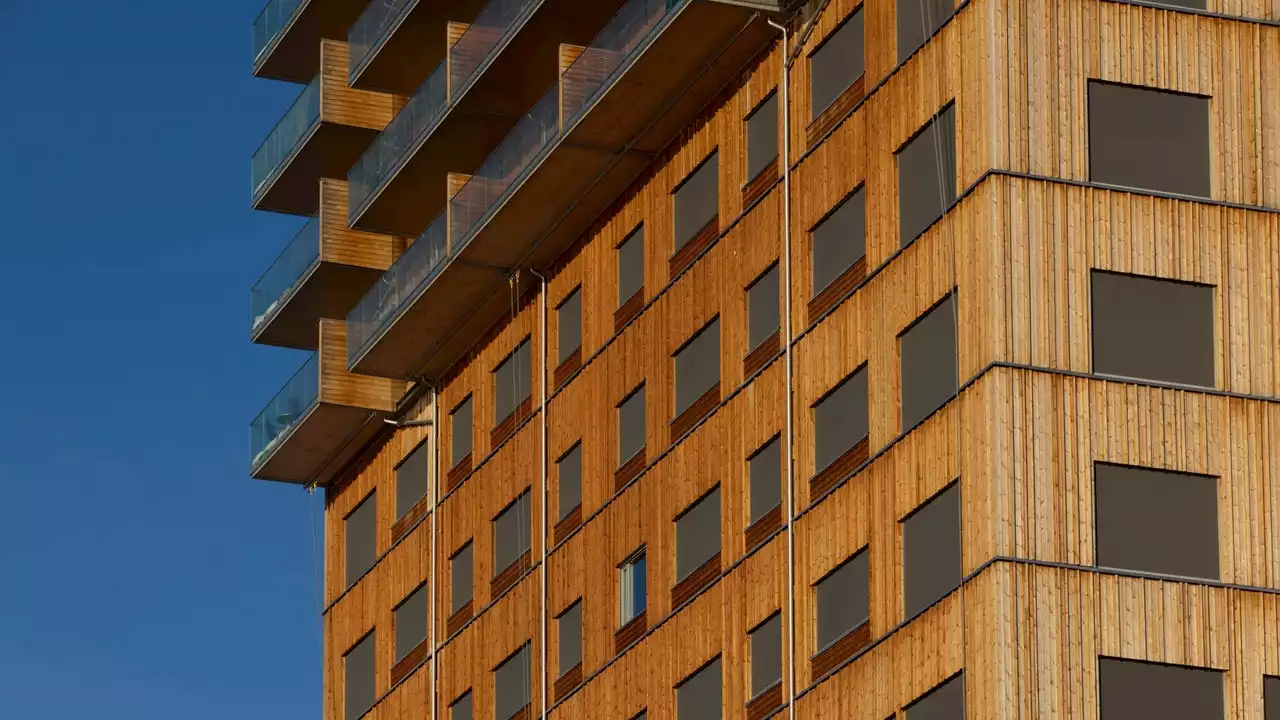 Transforming Trees Into Skyscrapers