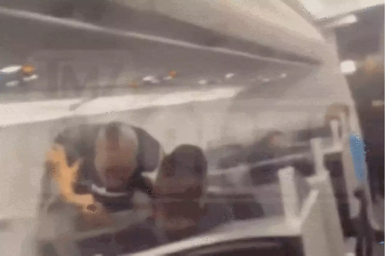 Mike Tyson repeatedly punches airplane passenger in crazy video