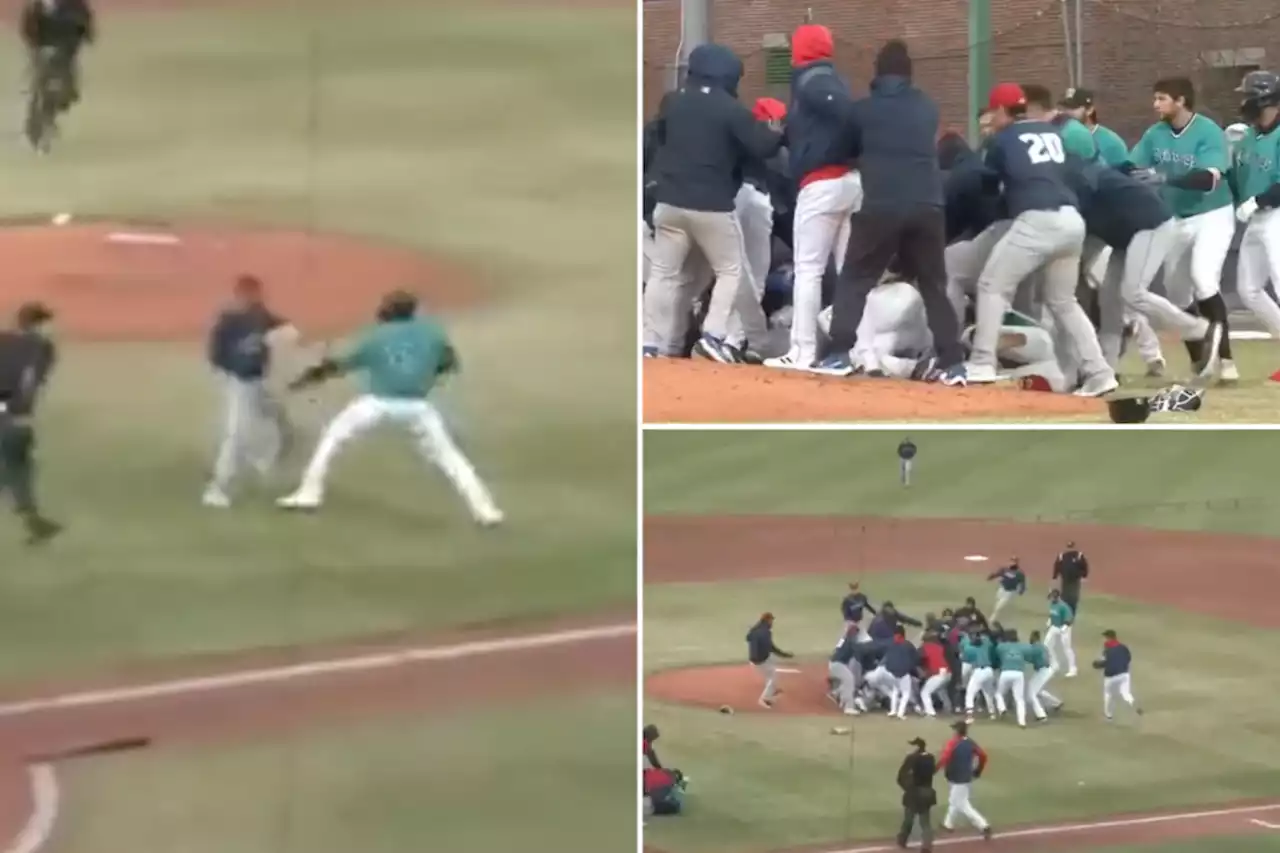 Wild brawl breaks out in Mets minor league game after batter decks pitcher