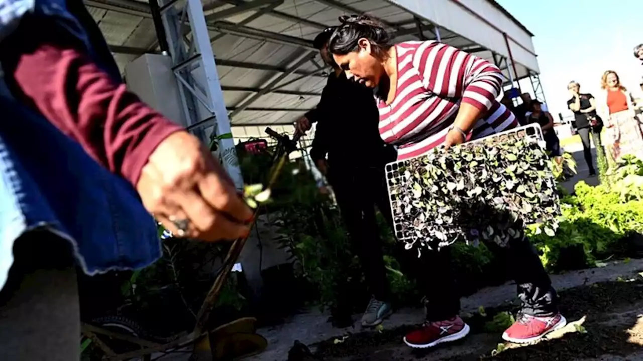 Productoras: con nave en el Mercado Central pero sin Ley de acceso a la tierra | PASOS PERDIDOS