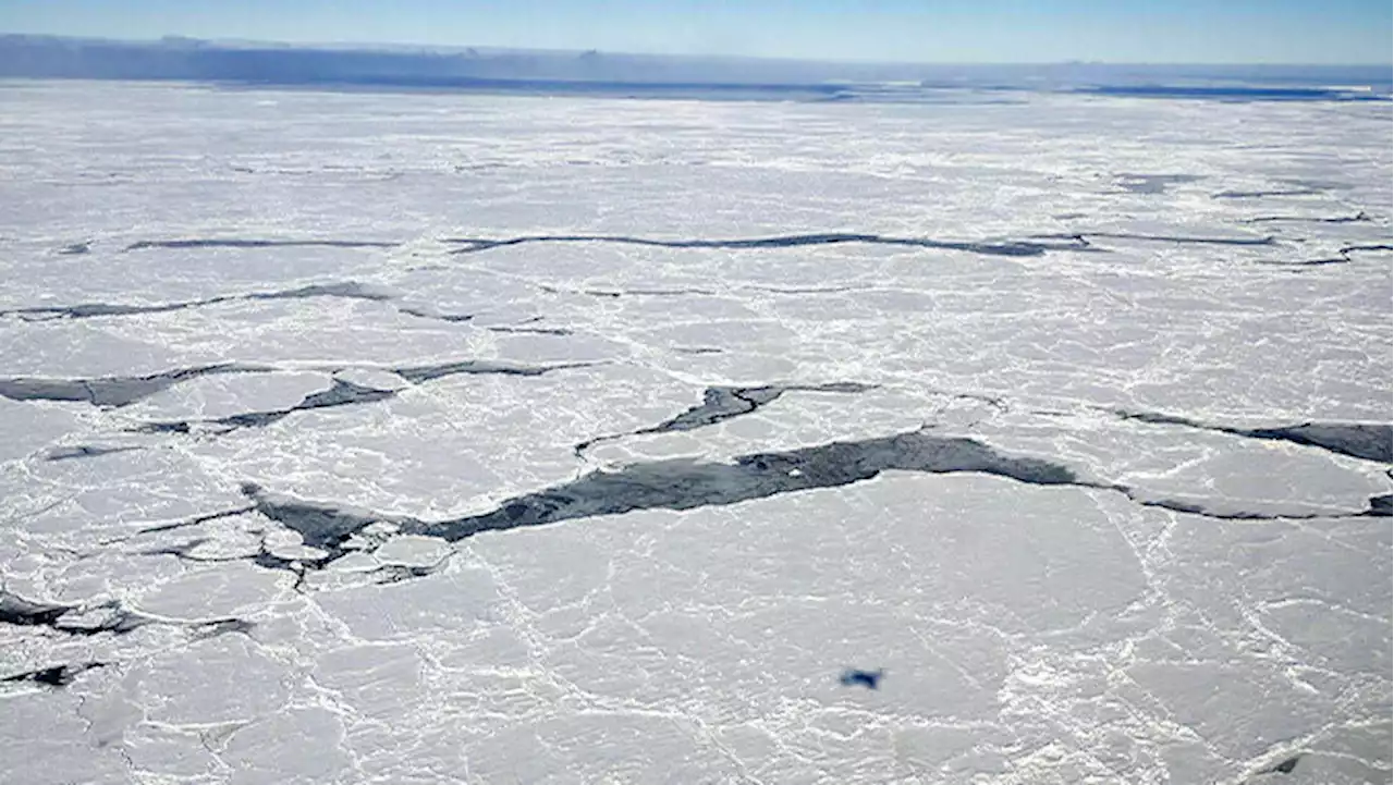 Antarctic sea-ice expansion in a warming climate