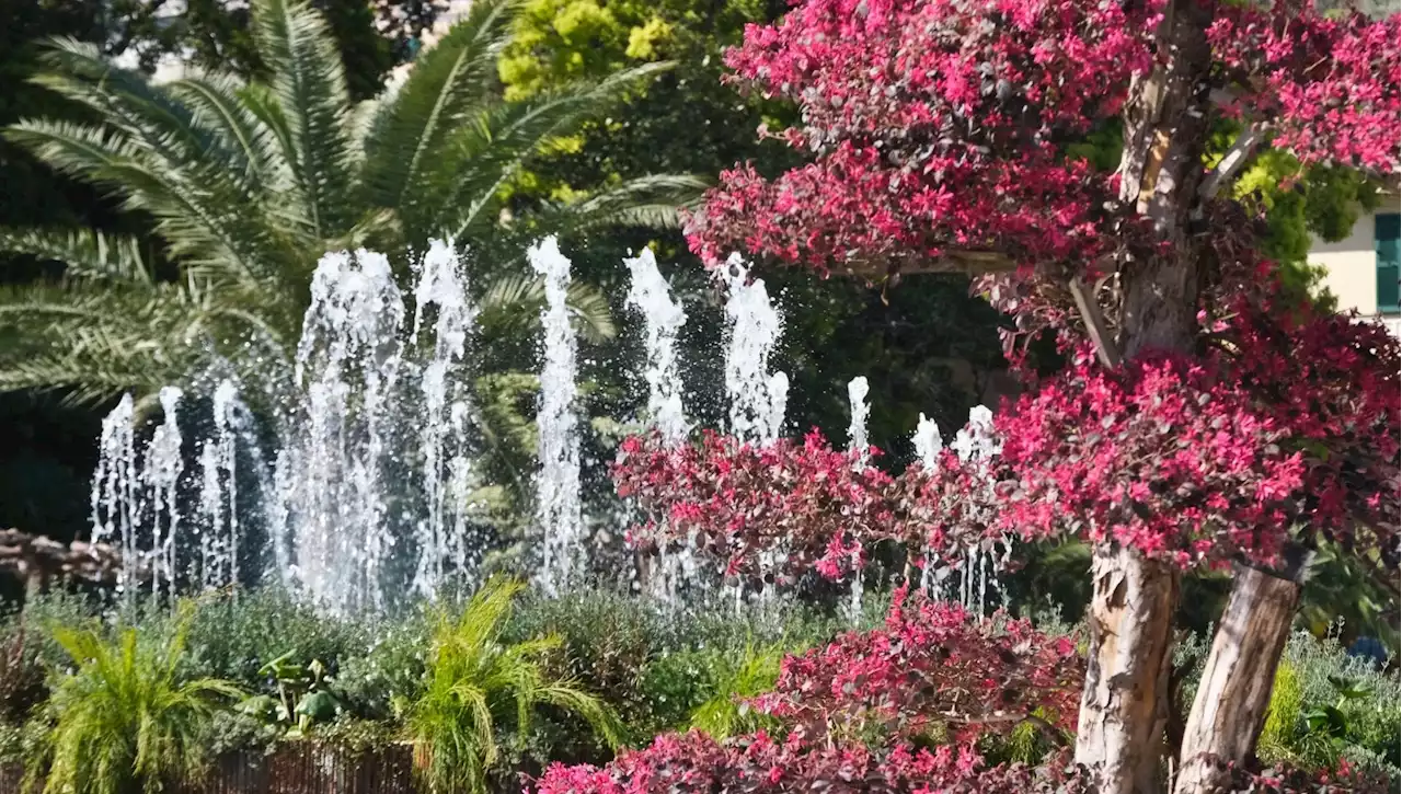 Euroflora a Genova, dai giardini esotici alle fontane: la guida per visitare la rassegna internazionale ai parchi di Nervi