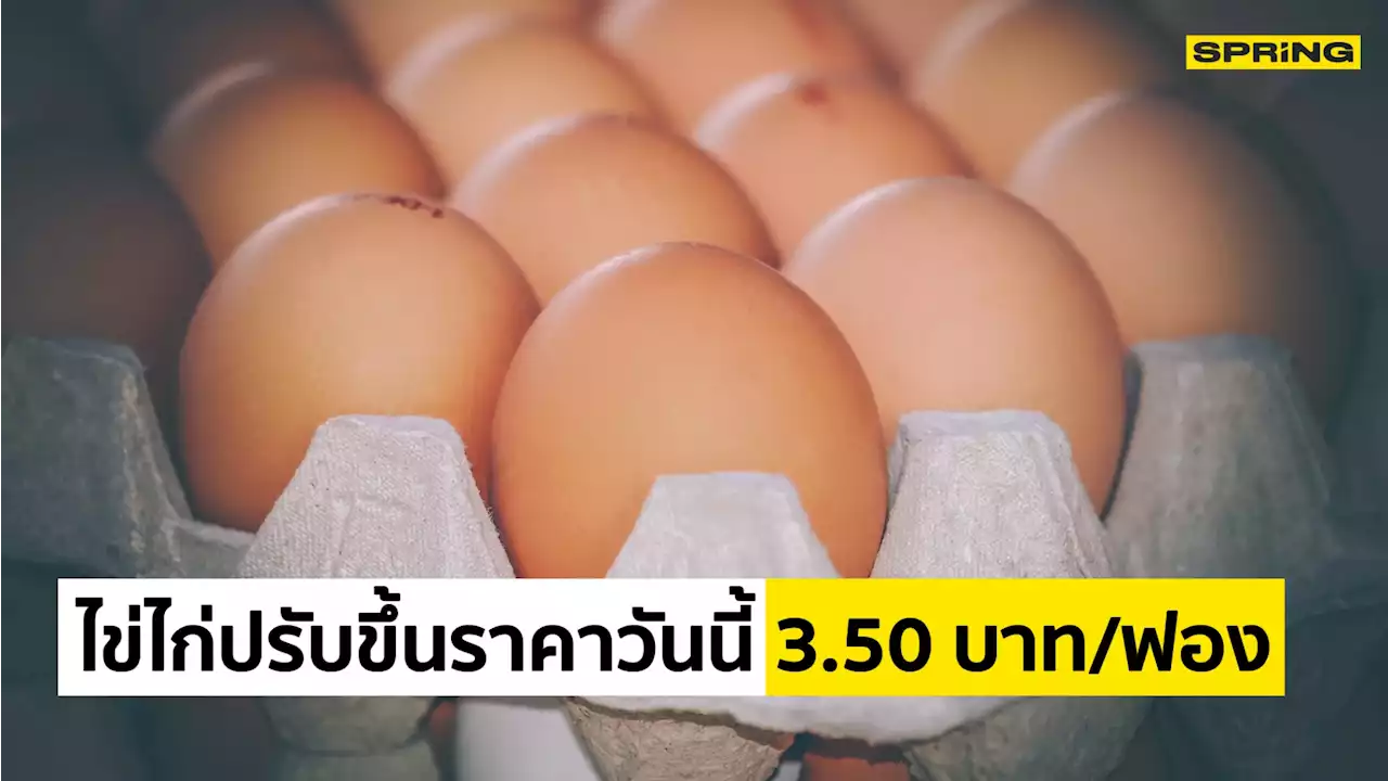 ไข่ไก่ปรับขึ้นราคาวันนี้ คละหน้าฟาร์ม 3.50 บ./ฟอง