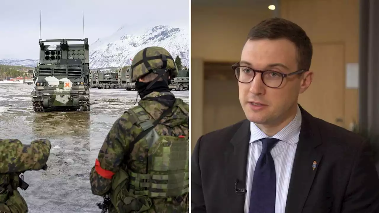 Forskare: ”Risker under en ansökningsperiod – behövs garantier om Nato-hjälp”