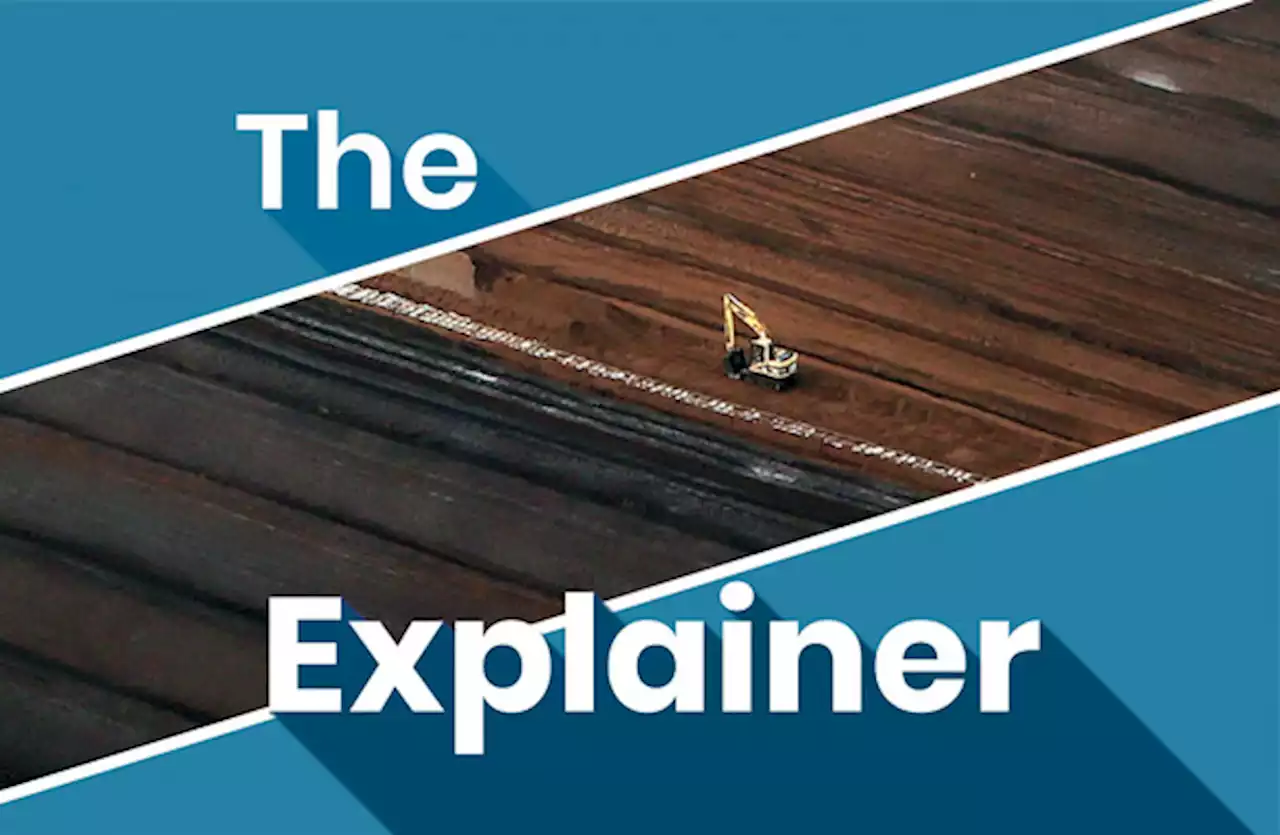 The Explainer: Why is cutting turf so bad for the environment?