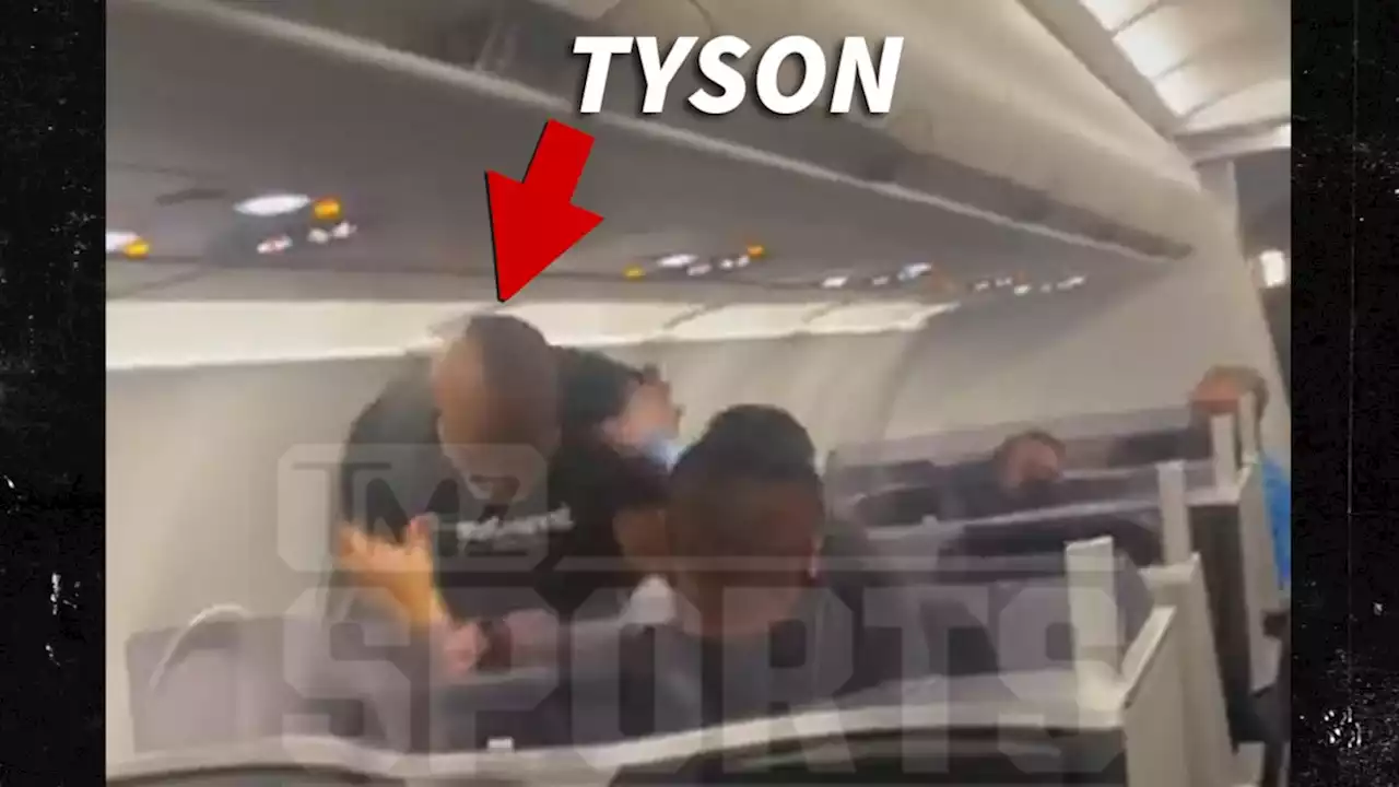 Mike Tyson Repeatedly Punches Man In Face On Plane, Bloodies Passenger