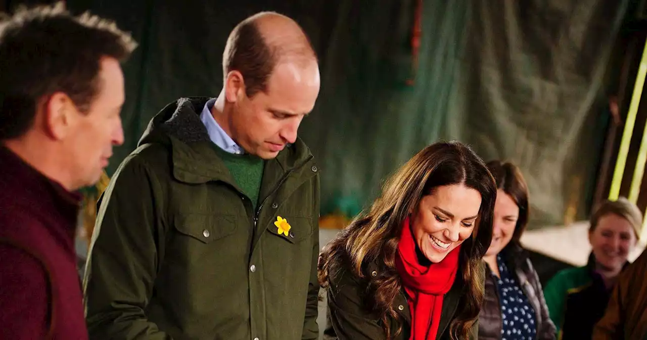 Four-Legged Friends! Cutest Photos of Royals Meeting Animals Through the Years