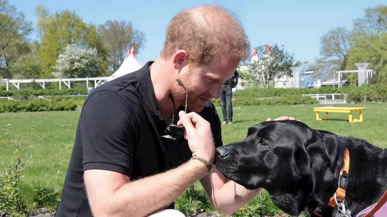 Prince Harry Jokes That He's “Doomed” To Go Bald