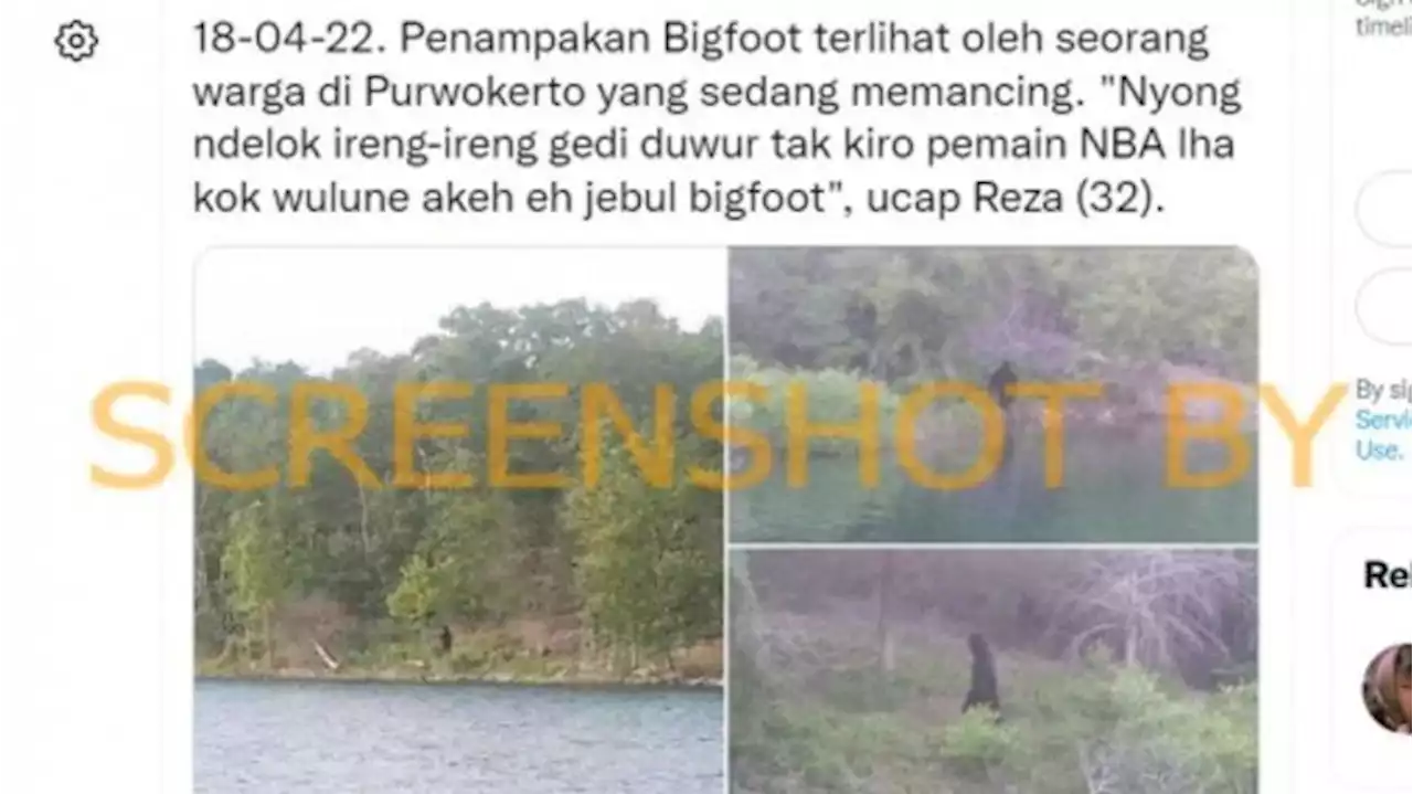 Cek Fakta: Penampakan Bigfoot di Purwokerto