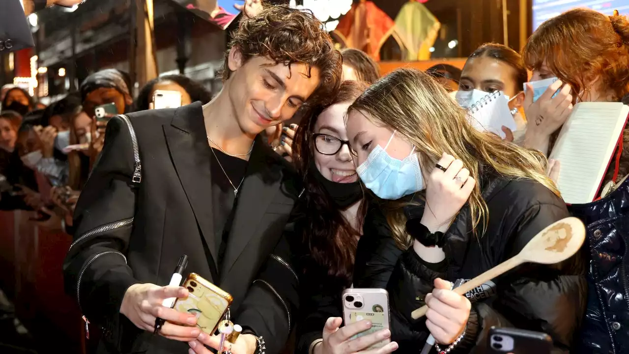 Das Jahr des Fangirls, oder: Gerechtigkeit für Timothée-Chalamet-Fans