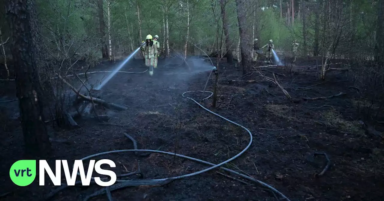 Eén dag na code oranje al natuurbrand in bos lang E34 in Mol-Postel