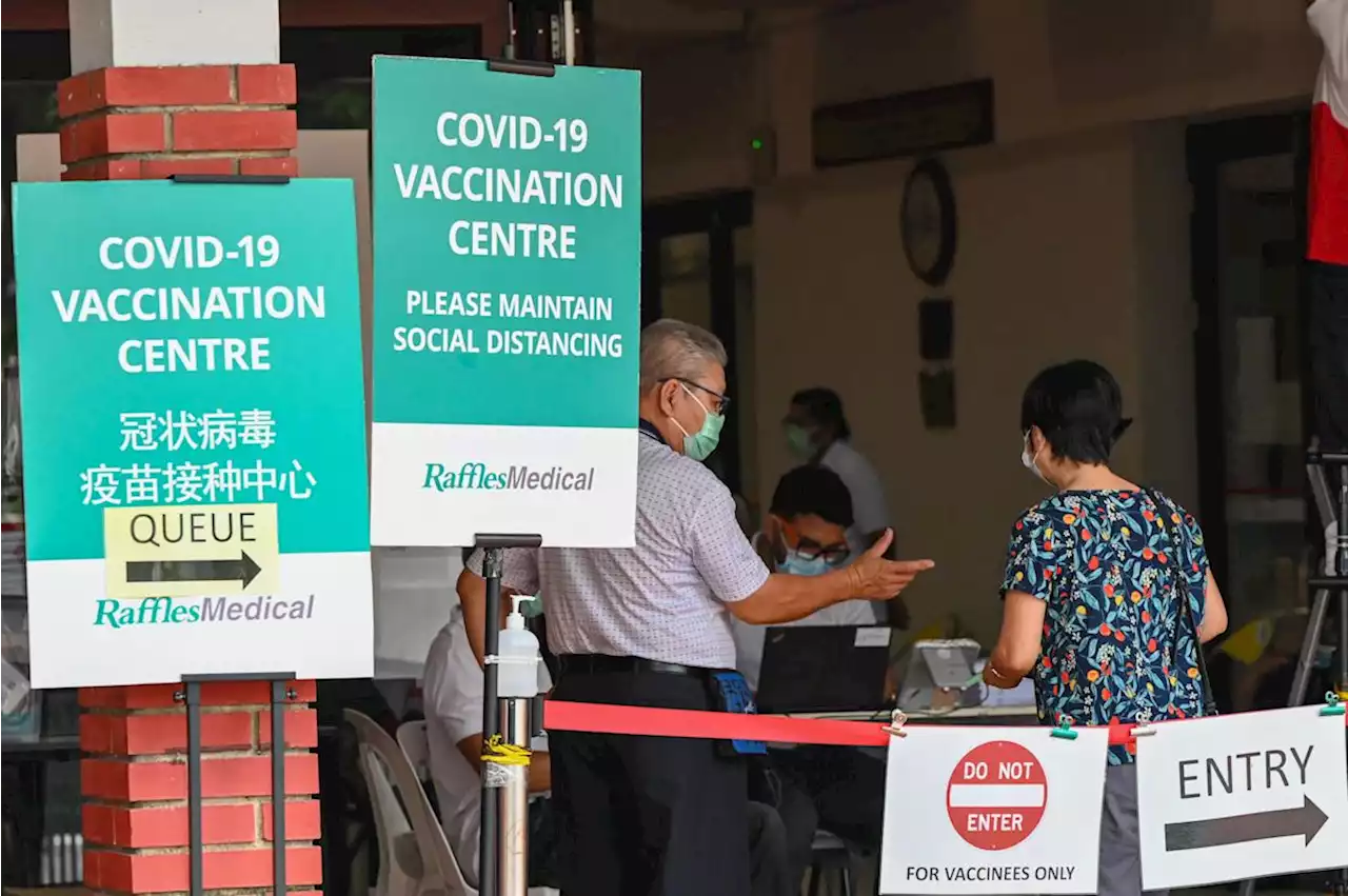 COVID: Persons aged 60-79 in Singapore can take second booster if they wish
