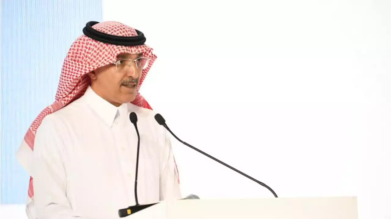 وزير المالية يدعو مجموعة البنك الدولي وصندوق النقد الدولي لمواصلة تعزيز التعاون الدولي