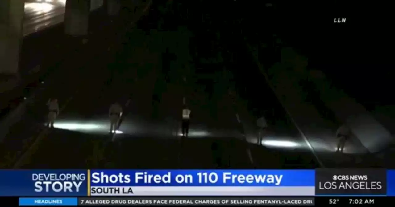 Driver shot on 110 Freeway in South LA