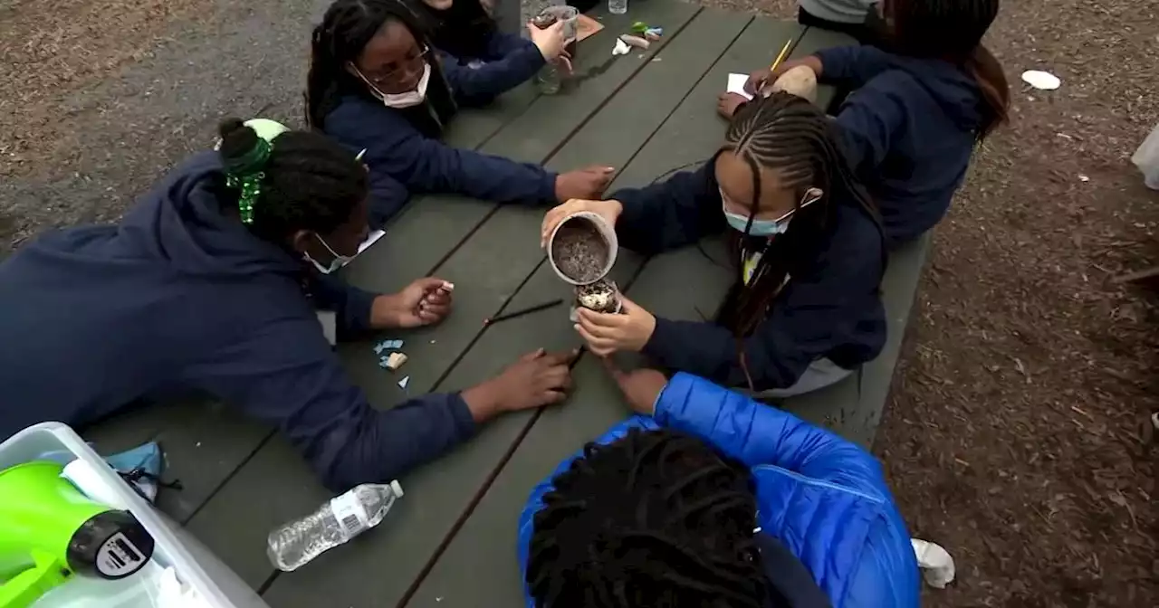 'Green Girls' teaches young women in NYC how to protect the environment