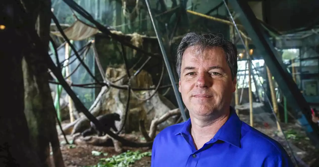 Steve Ross, director of Lincoln Park Zoo’s Lester Fisher Center for Apes, dies