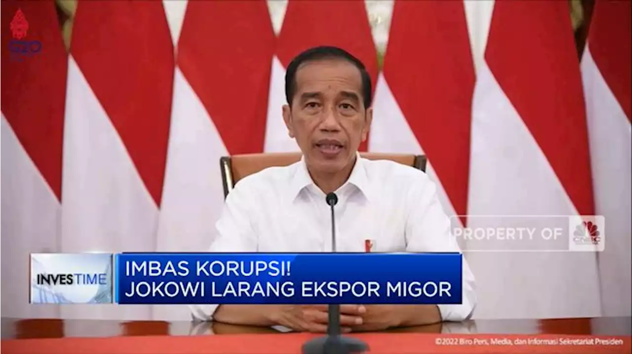 Dilarang Jokowi, Ini Negara Tujuan Ekspor Migor Terbesar RI