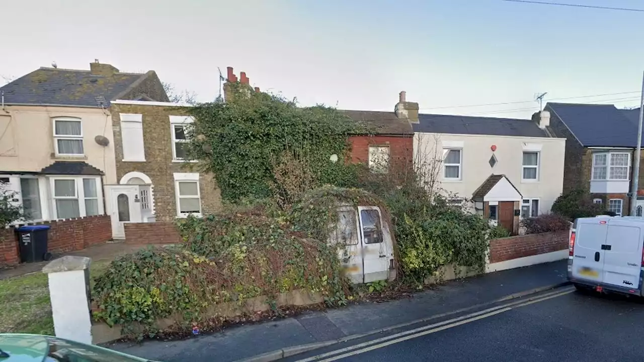 House so overgrown with trees and vines neighbour 'forced' to build new wall