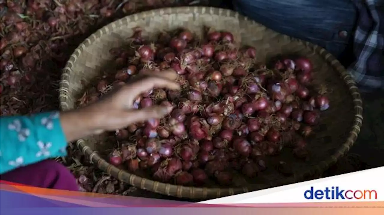 Harga Cabai Rawit Turun, Eh Bawang Putih dan Merah Malah Naik