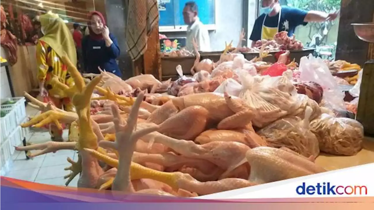 Sabar Ya Bun... Harga Daging Ayam Makin Mahal Jelang Lebaran