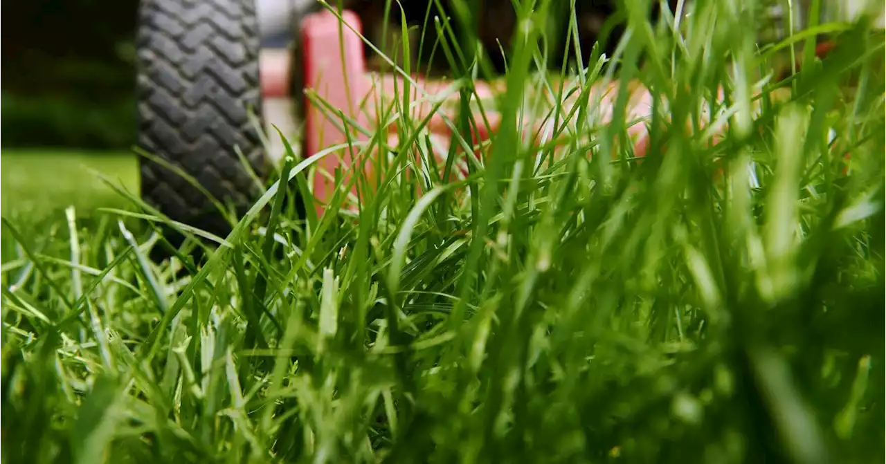 Get your lawnmower primed for the season with these tips