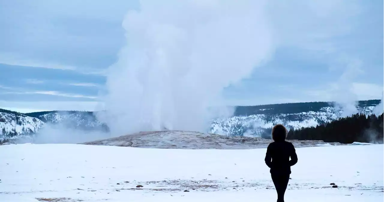 Keeping the wild wild: Celebrating 150 years of Yellowstone National Park