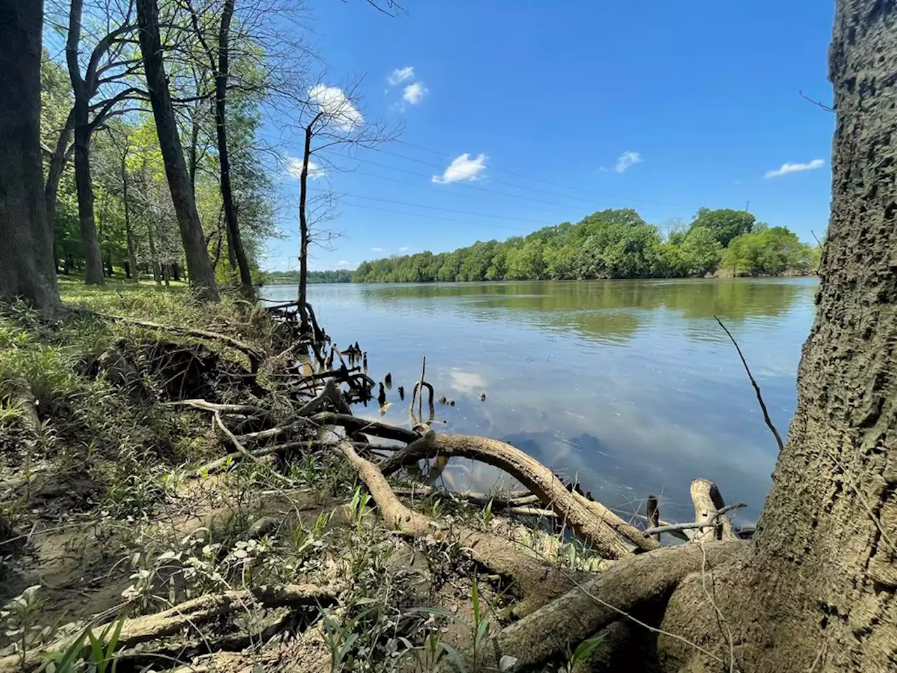 2 of Alabama’s Rivers among most endangered