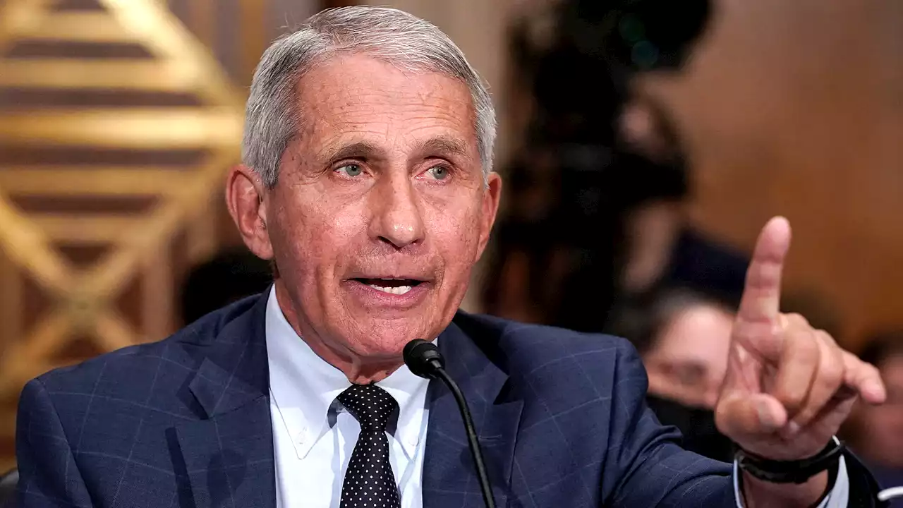 GOP lawmaker slams 'Lord Fauci' for insinuating he has higher power than the legal system