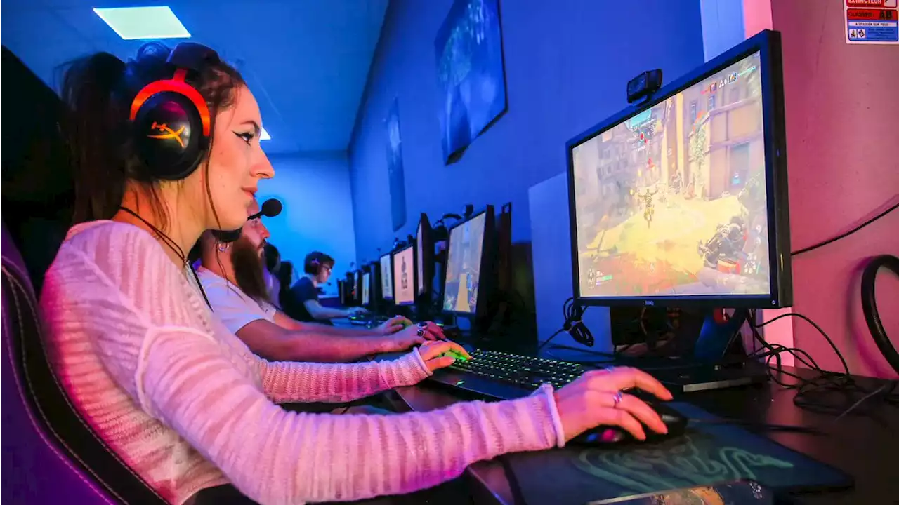 Esport : bruits d'animaux, insultes, propos sexistes... Le harcèlement des gameuses, un fléau qui empoisonne les jeux vidéo en ligne