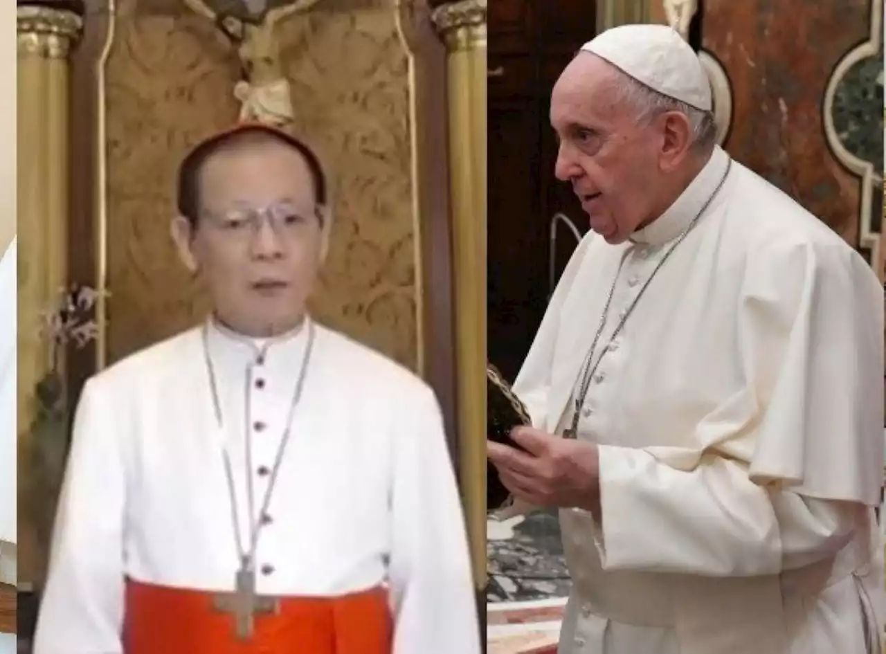 Cardinal Advincula, nakipagpulong kay Pope Francis