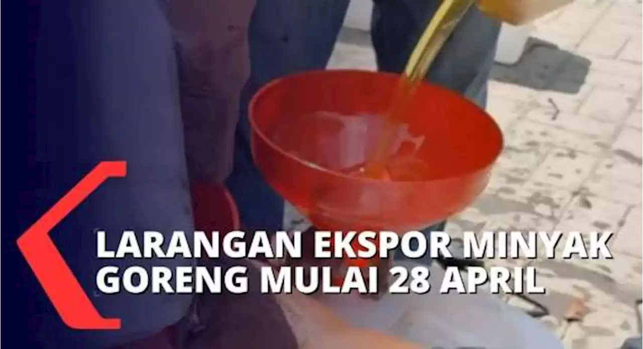 Jokowi Larang Ekspor Minyak Goreng dan Bahan Bakunya, Akankah Bisa Turunkan Harga Minyak Goreng?