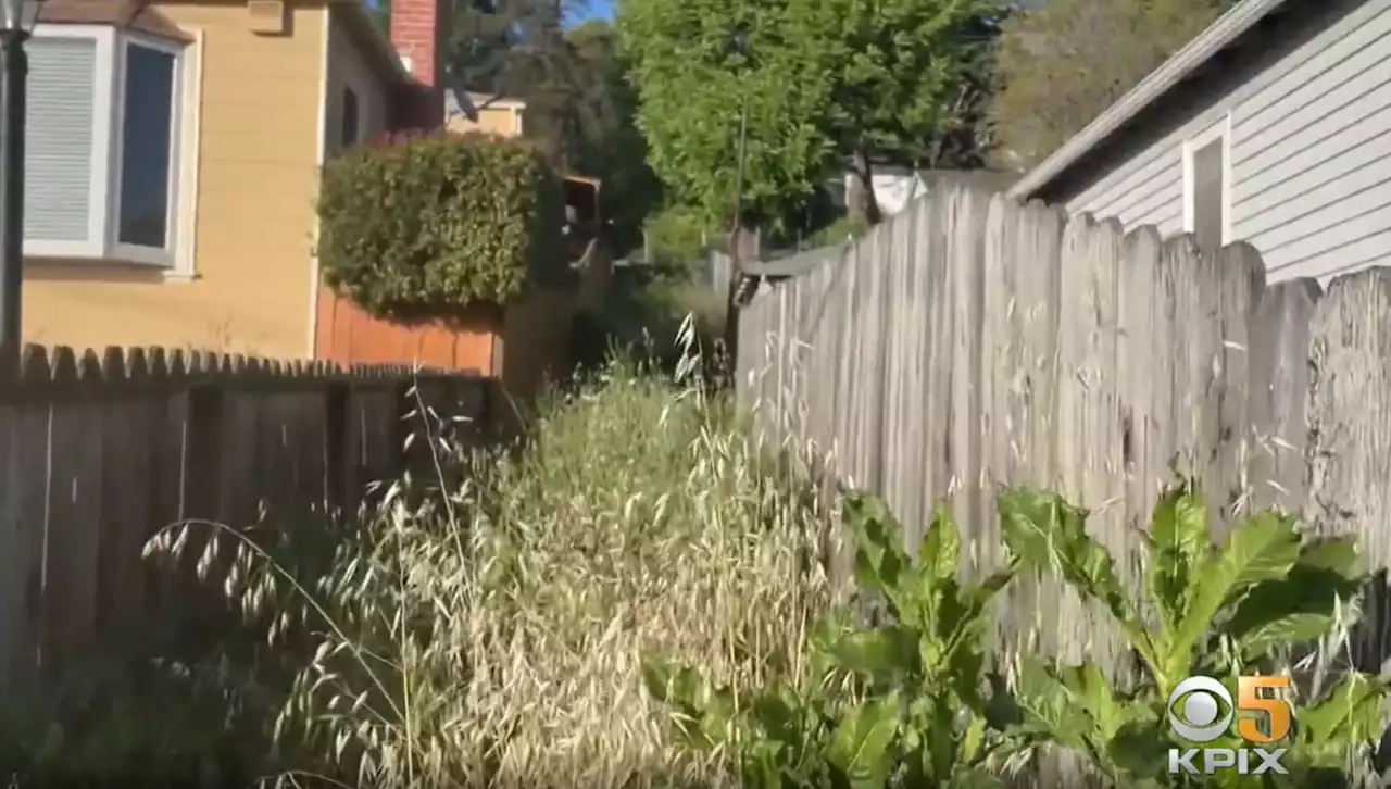 Crime Fears Surround Plans To Restore Hidden Oakland Neighborhood Staircases