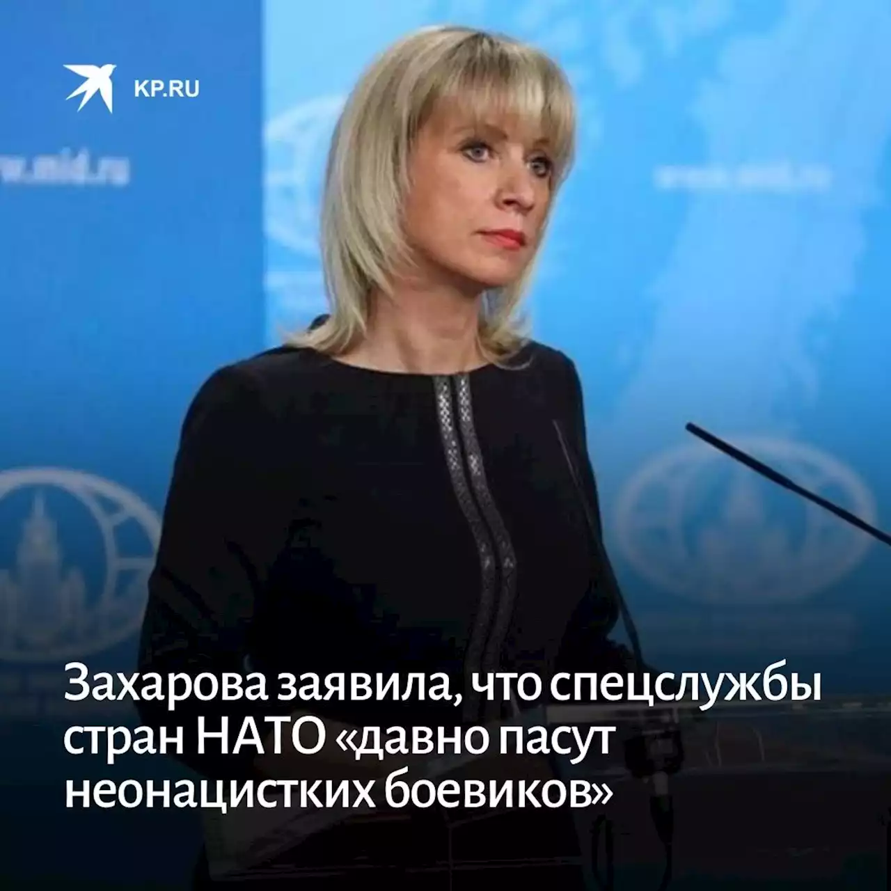 Захарова заявила, что спецслужбы стран НАТО «давно пасут неонацистких боевиков»