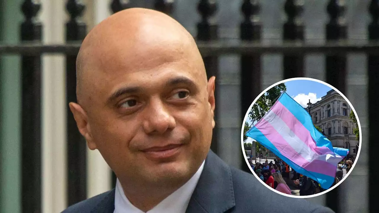 Sajid Javid 'to launch urgent inquiry into child gender treatment' as system is 'failing children'