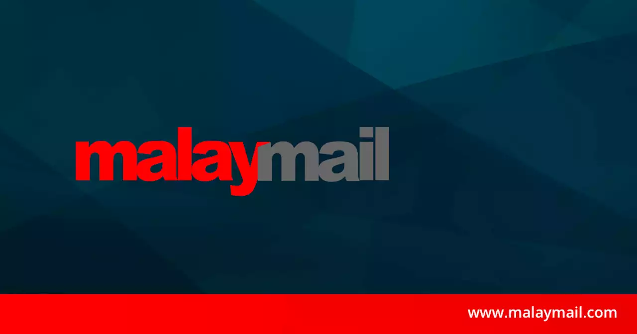 Man dies after crashing into tree while paragliding in Kuala Kubu Bharu | Malay Mail