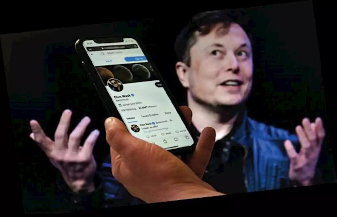 Melihat Perjalanan Twitter Incaran Elon Musk