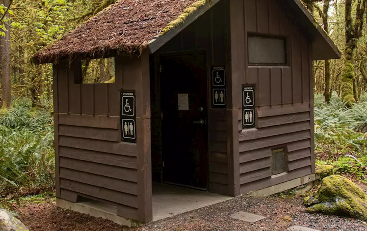 California woman drops phone into outhouse, falls in headfirst and gets stuck