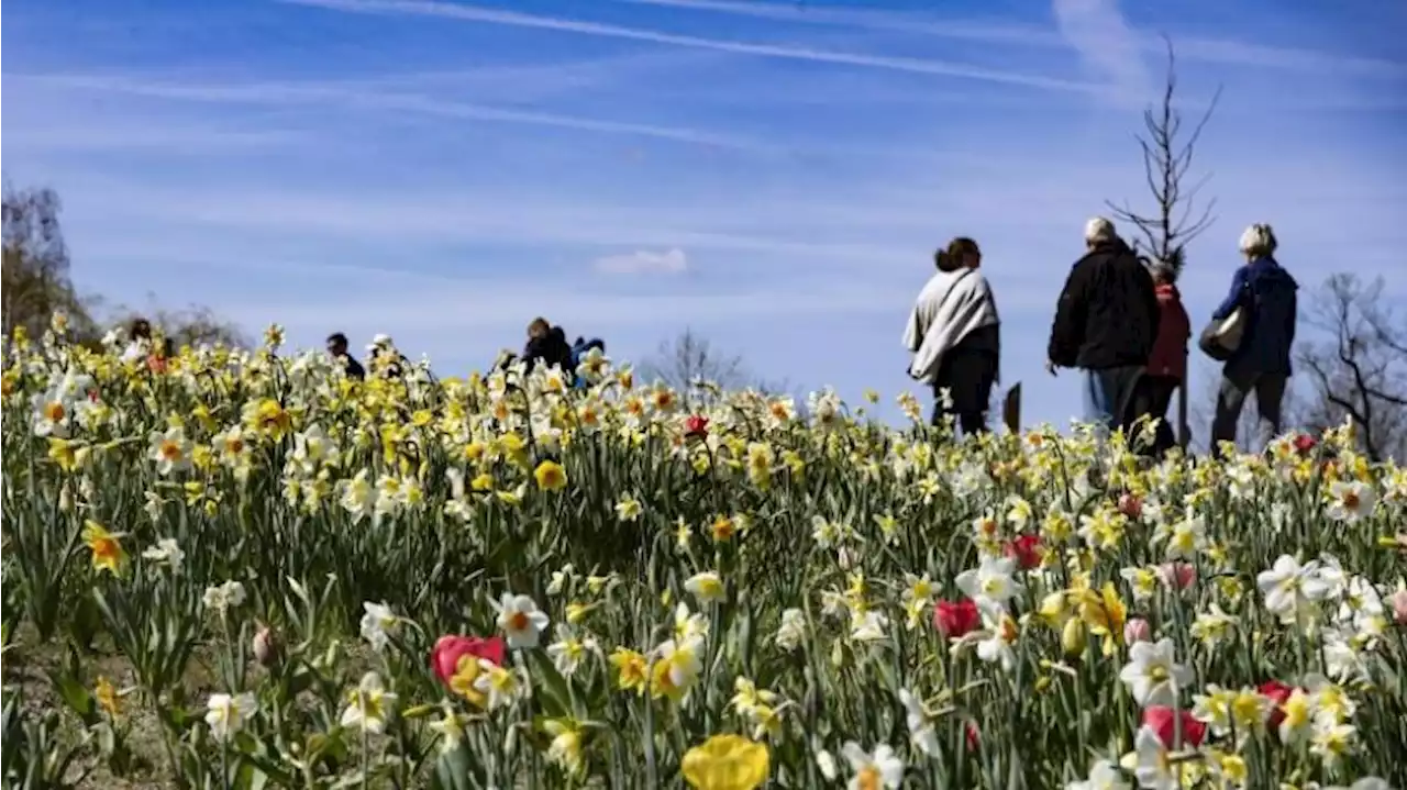 Schub für Beelitz durch Landesgartenschau