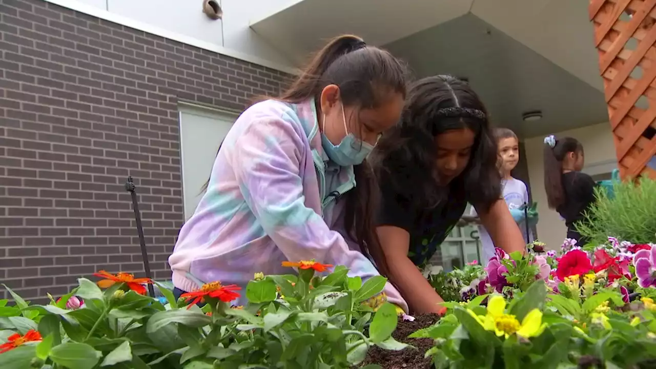 Dallas ISD Students Mark Earth Day Planting Seeds for Future