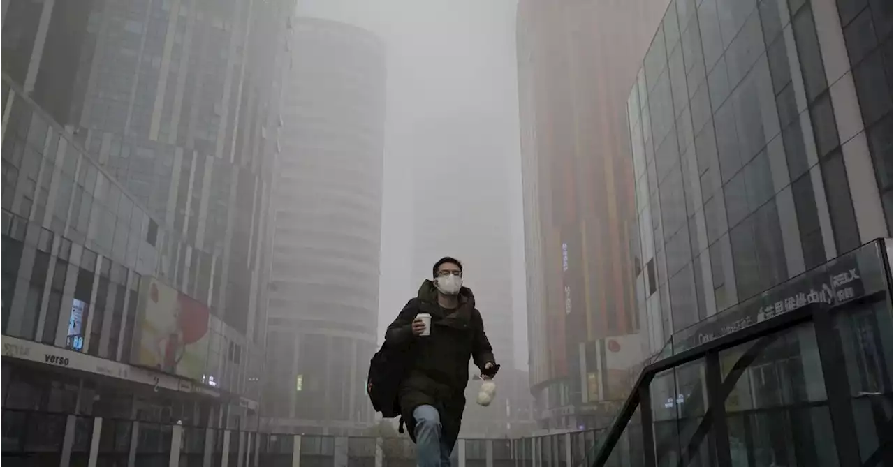 China must raise air quality standards as smog persists -task force