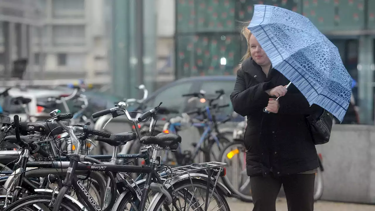 Prévisions météo: quelques averses attendues durant le week-end, voici où tombera la pluie