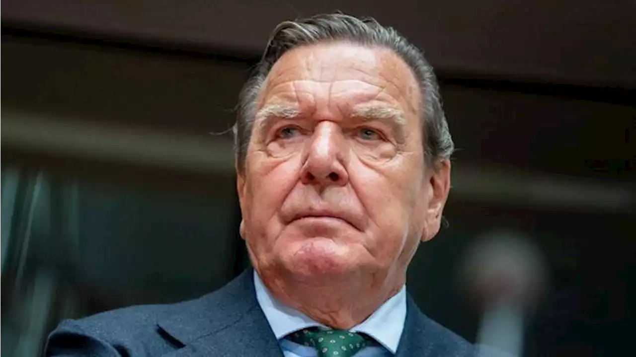 Schröder bringt sich selbst als Russland-Vermittler ins Gespräch