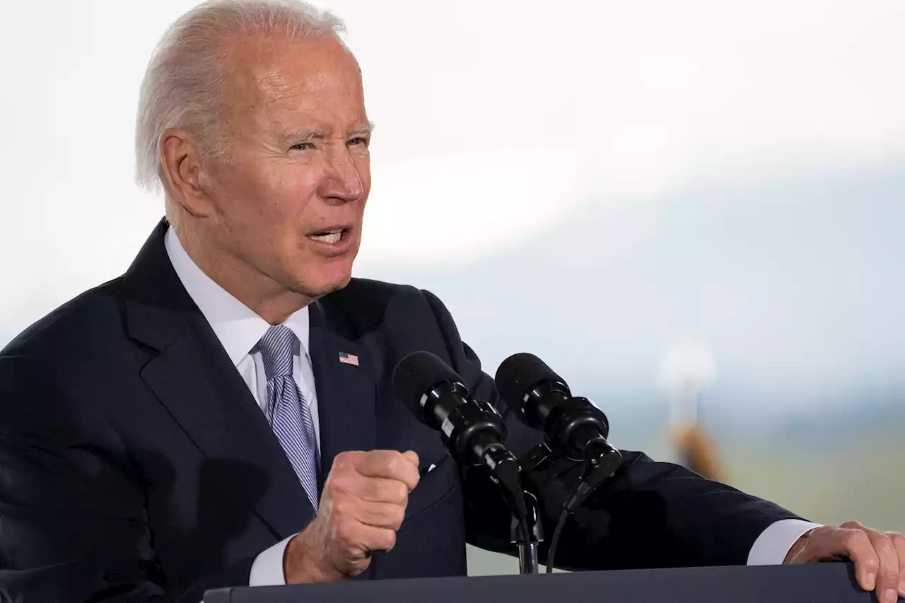 Biden to order protection of ancient US forests