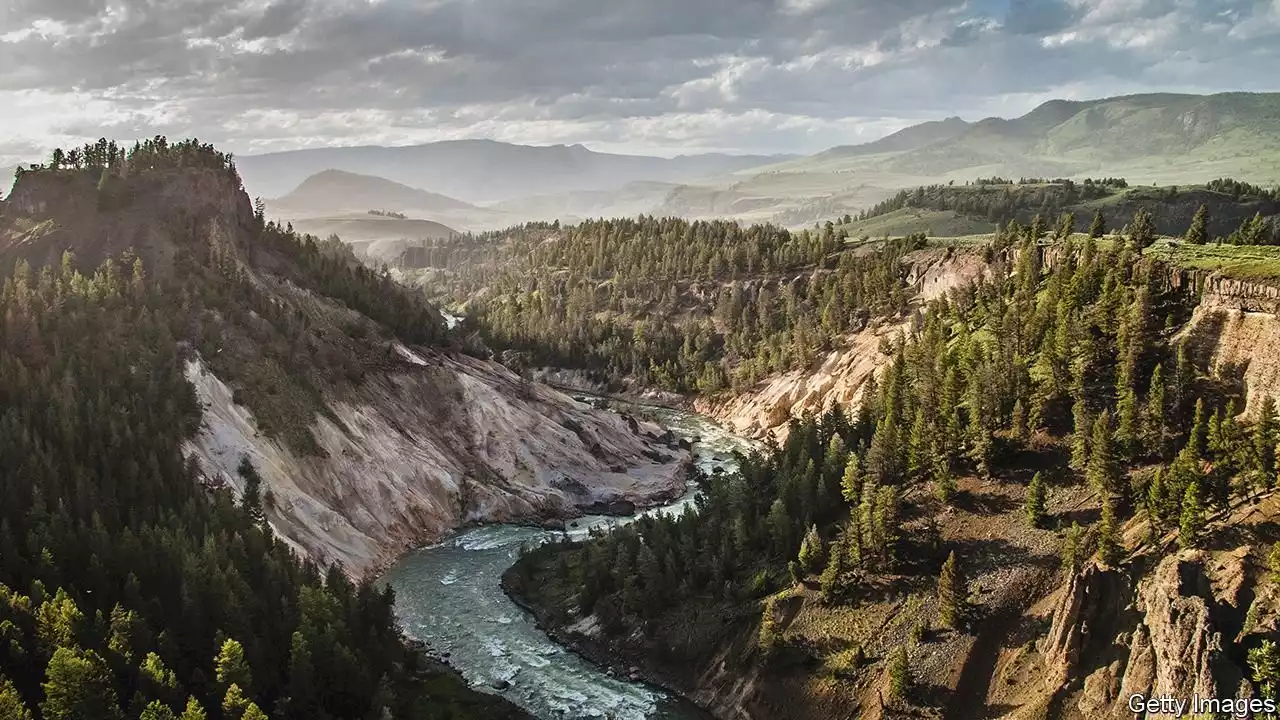 Paddle alongside Dick Conant in “Riverman”