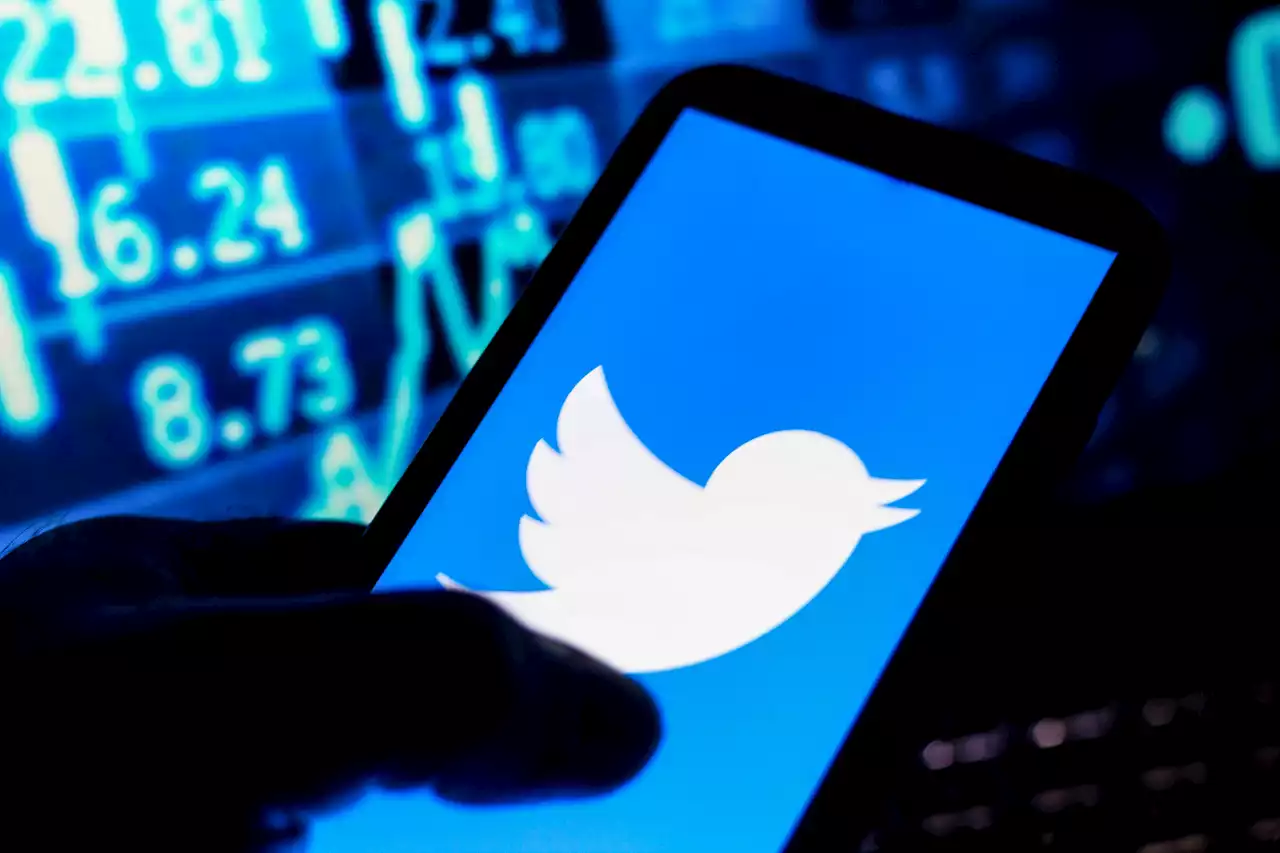 Twitter Bans Climate Change Ads That Contradict Science