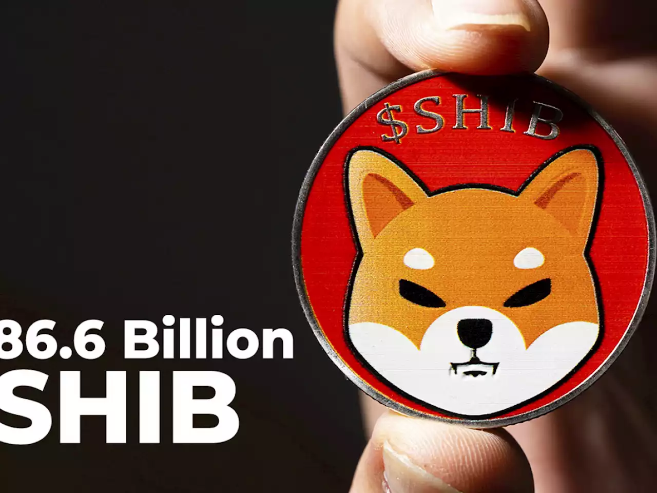 86.6 Billion SHIB Acquired by Whale, Who Grabbed Almost 2 Trillion SHIB in April