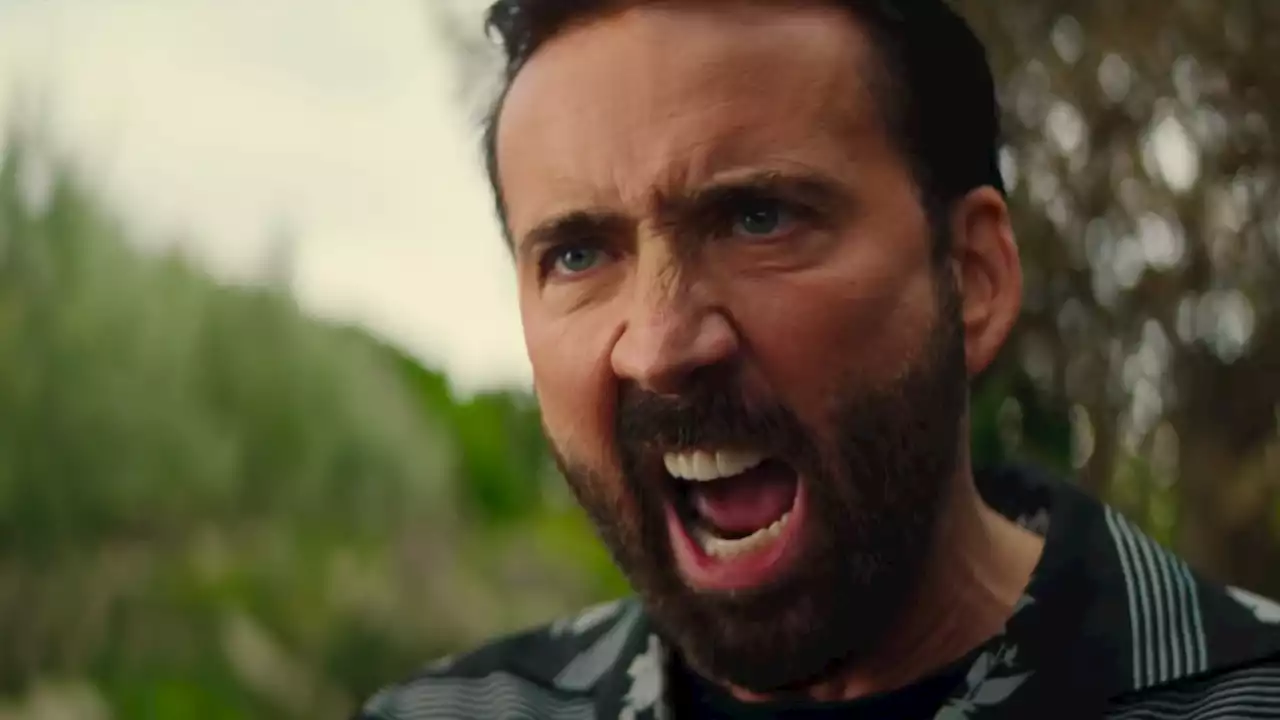 The Hidden Nicolas Cage Easter Eggs From The Unbearable Weight of Massive Talent