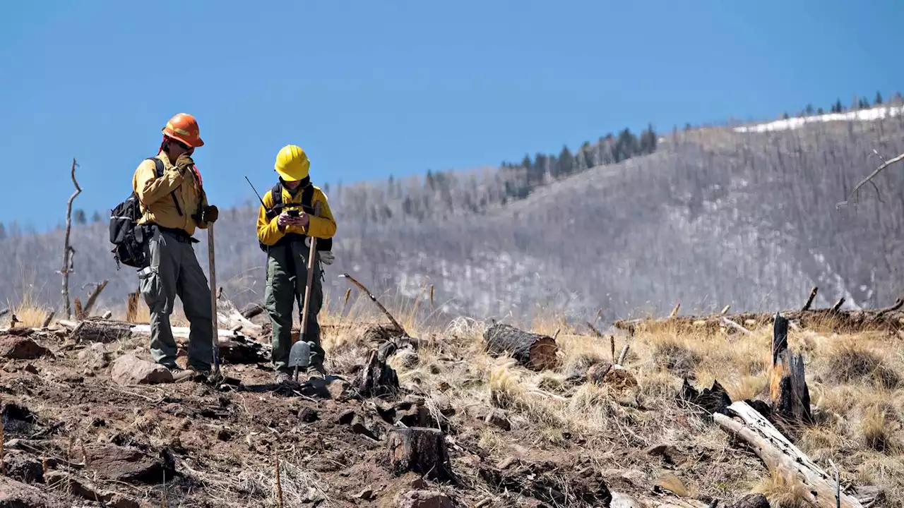 Crews tackle growing wildfires; 'A very chaotic situation'